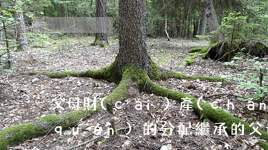 父母財(cái)產(chǎn)繼承權(quán)的分配(繼承的父母的財(cái)產(chǎn)是否需要分給配偶)