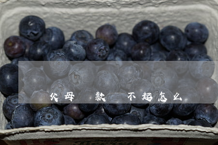 父母貸款還不起怎么辦