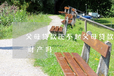 父母贷款还不起(父母贷款还不起会冻结子女财产吗)