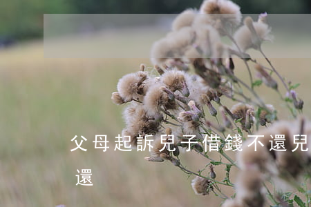 父母起訴兒子借錢不還(兒子起訴父親欠錢不還)