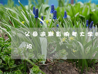 父母逾期影响考大学吗(父母逾期影响考大学吗)