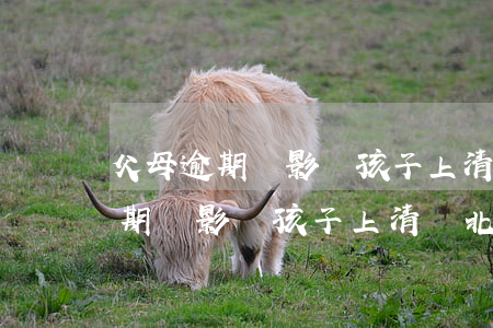 父母逾期會影響孩子上清華北大嗎-父母逾期會影響孩子上清華北大嗎知乎