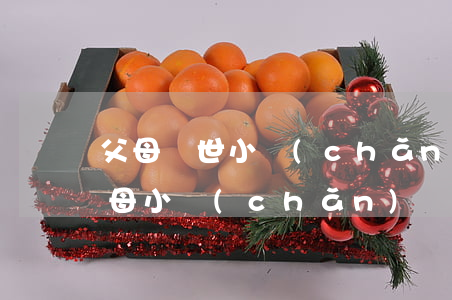 父母過世小產(chǎn)權房怎么繼承(父母小產(chǎn)權房的繼承法)