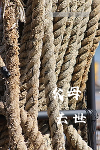 父母過世怎么繼承房子(繼承房子是必須父母去世)