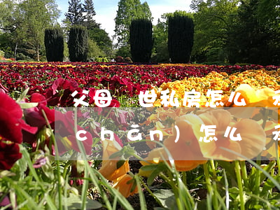 父母過世私房怎么繼承(父母過世留下房產(chǎn)怎么繼承)