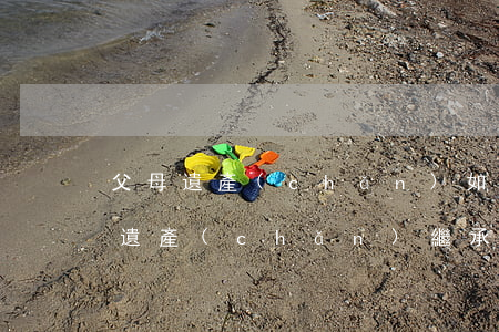 父母遺產(chǎn)如何繼承怎么走程序(遺產(chǎn)繼承怎么走法律程序)