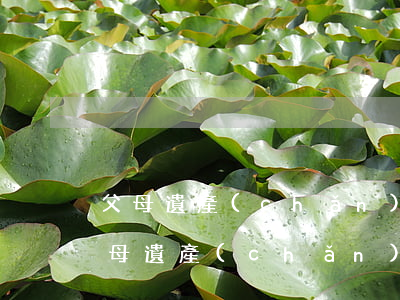 父母遺產(chǎn)子女分配最佳方法(父母遺產(chǎn)去世子女配偶怎么分配)