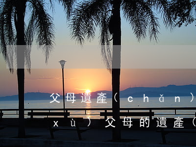 父母遺產(chǎn)繼承需要什么手續(xù)(父母的遺產(chǎn)怎么繼承)