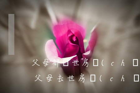 父母都過世房產(chǎn)怎么繼承公證(父母去世房產(chǎn)繼承公證需要哪些材料)