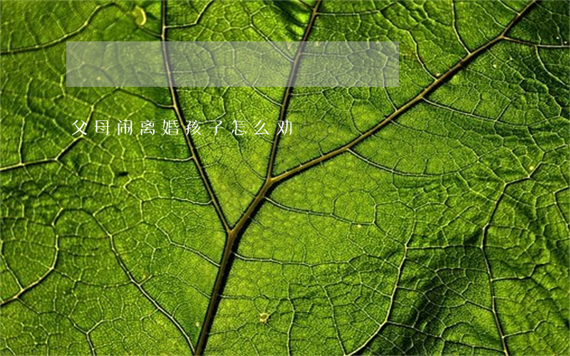 父母闹离婚孩子怎么劝