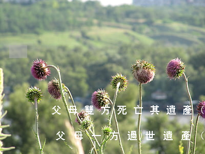 父母雙方死亡其遺產(chǎn)怎么繼承(父母一方過世,遺產(chǎn)如何繼承)