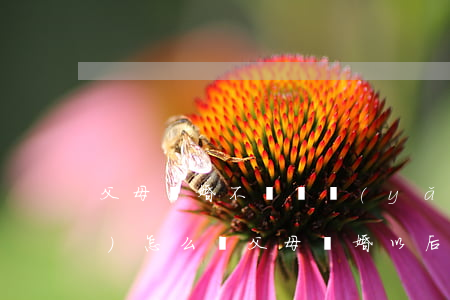 父母離婚不給贍養(yǎng)費(fèi)怎么辦(父母離婚以后可以不贍養(yǎng)她嗎)