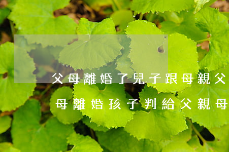 父母離婚了兒子跟母親父親打兒子違法嗎(父母離婚,孩子判給父親,母親有義務(wù)負(fù)責(zé)嘛)