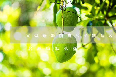 父母離婚前買房子該怎么辦(婚后給父母買的房離婚怎么辦)