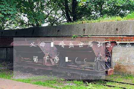 父母離婚去世后到底怎么安葬(婚后父母去世留下房產(chǎn)離婚要分嗎)