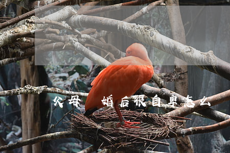 父母離婚后很自卑怎么辦