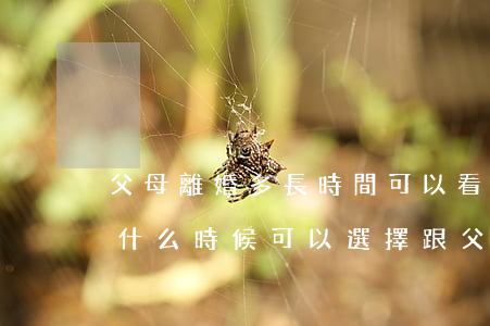 父母離婚多長時間可以看孩子(父母離婚小孩什么時候可以選擇跟父母)