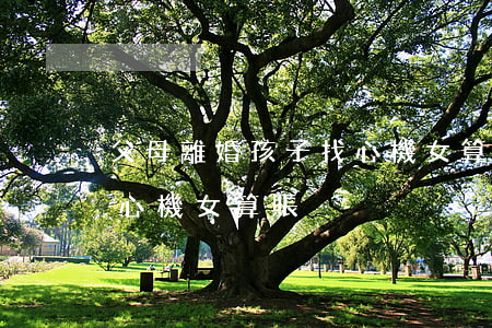 父母離婚孩子找心機女算賬(父母離婚孩子找心機女算賬)
