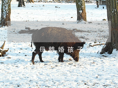 父母離婚孩子歸誰