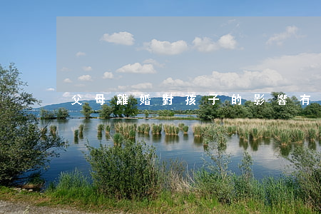 父母離婚對孩子的影響有那些