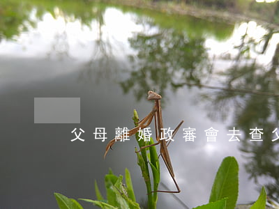 父母離婚政審會去查父親嗎