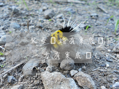父母離婚有案底對孩子有影響嗎(父母離婚有一方有案底會(huì)影響孩子嗎)