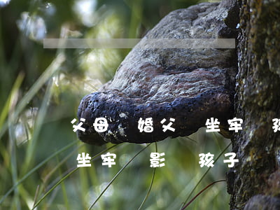 父母離婚父親坐牢對孩子有影響嗎(離婚父母坐牢會影響孩子嗎)