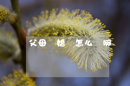 父母離婚該怎么辦啊
