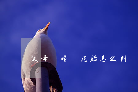 父母離婚雙胞胎怎么判
