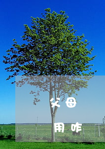 父母離異孩子大學(xué)費(fèi)用咋辦
