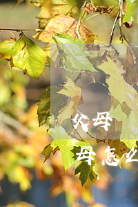 父母離異父親信用卡透支(孩子透支信用卡父母怎么辦)