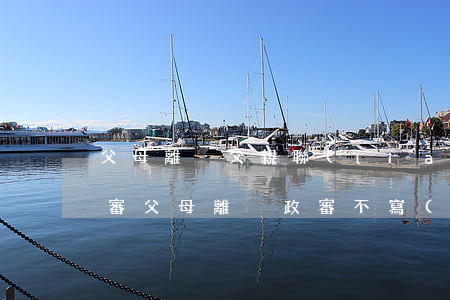 父母離異父親聯(lián)系不上怎么政審(父母離異政審不寫(xiě)父親)