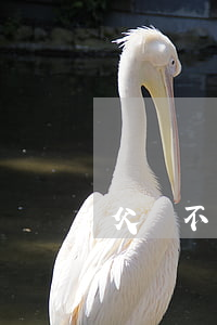 父親不給撫養(yǎng)費可以去法院起訴嗎