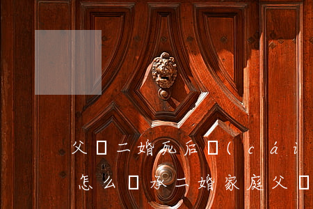 父親二婚死后財(cái)產(chǎn)怎么繼承(二婚家庭父親死了,遺產(chǎn)分配)