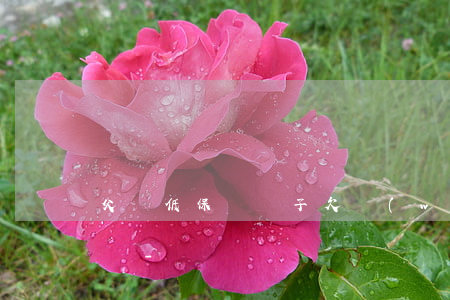 父親低保戶兒子欠網(wǎng)貸能減免嗎-