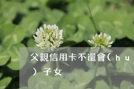 父親信用卡不還會(huì)凍結(jié)子女