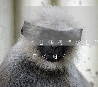 父親信用卡投資不還兒子(兒子以父親的名義辦信用卡)
