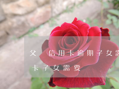 父親信用卡逾期子女需要還嗎(父親辦理信用卡,子女需要償還嗎)