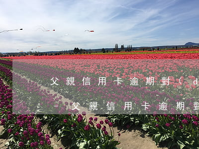 父親信用卡逾期對(duì)孩子有影響嗎-父親信用卡逾期對(duì)孩子有影響嗎知乎
