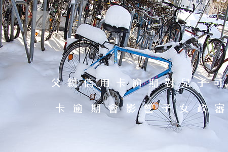 父親信用卡逾期對兒子可以當兵嗎(父親信用卡逾期會影響子女政審嗎)