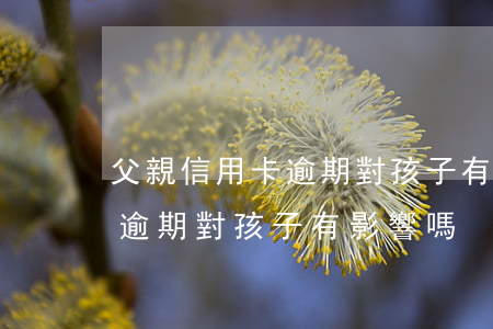 父親信用卡逾期對孩子有影響嗎(父親信用卡逾期對孩子有影響嗎)