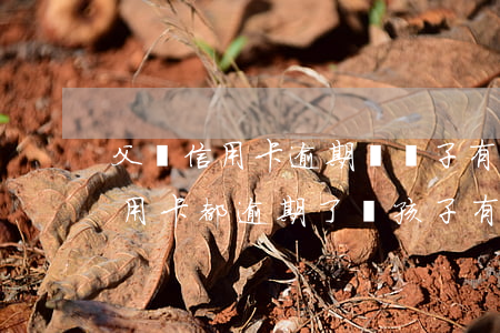 父親信用卡逾期對孫子有什么影響(兩口子信用卡都逾期了對孩子有什么影響)