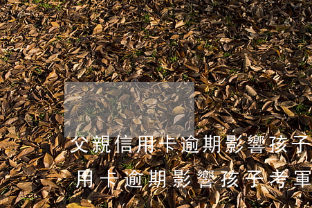 父親信用卡逾期影響孩子考軍校嗎-父親信用卡逾期影響孩子考軍校嗎知乎