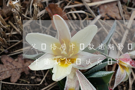 父親信用卡還款逾期影響子女伐 父親辦信用卡逾期起訴以后對(duì)子女有何影響