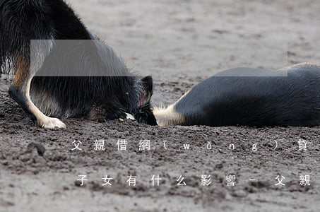 父親借網(wǎng)貸逾期對(duì)子女有什么影響-父親借網(wǎng)貸逾期對(duì)子女有什么影響,以離婚