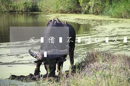 父親借錢不還被起訴(父親借錢不還被起訴怎么辦)