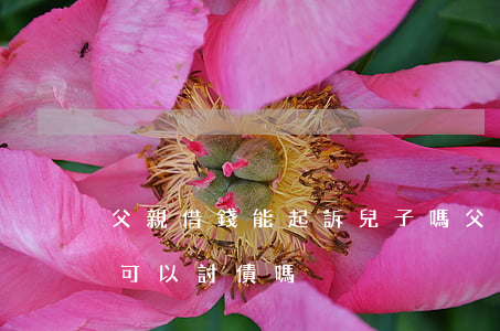 父親借錢能起訴兒子嗎(父親借錢給別人,兒子可以討債嗎?)