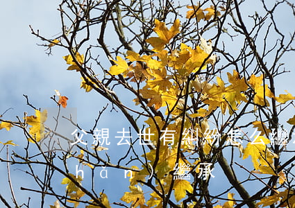 父親去世有糾紛怎么繼承(父親去世 房產(chǎn)繼承)