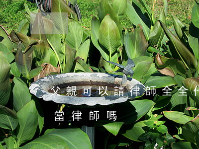 父親可以請律師全全代理嗎(兒子可以給父親當律師嗎)
