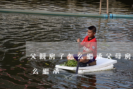 父親房子怎么繼承(父母房產(chǎn)怎么繼承)